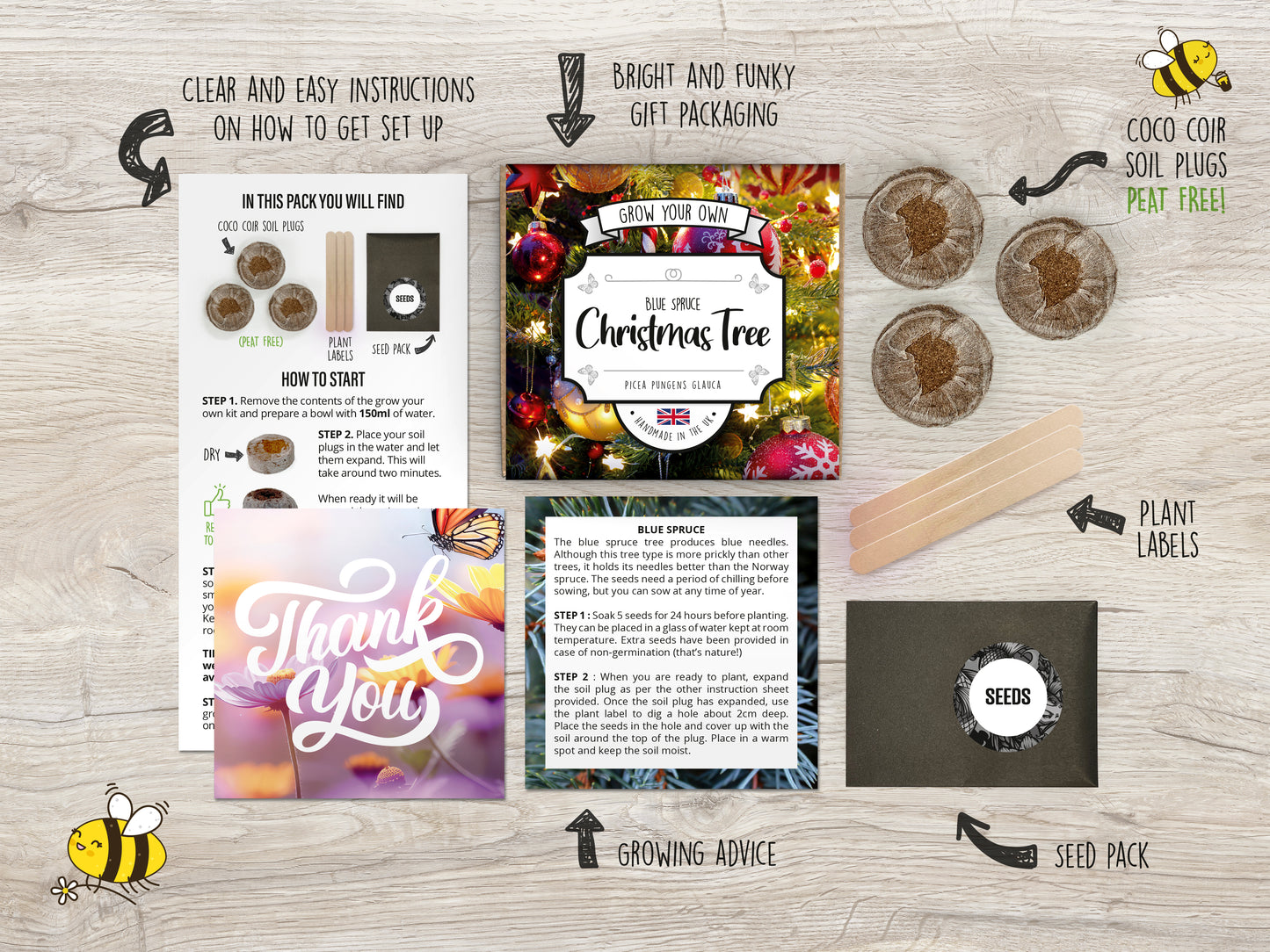 Grow Your Own Christmas Tree