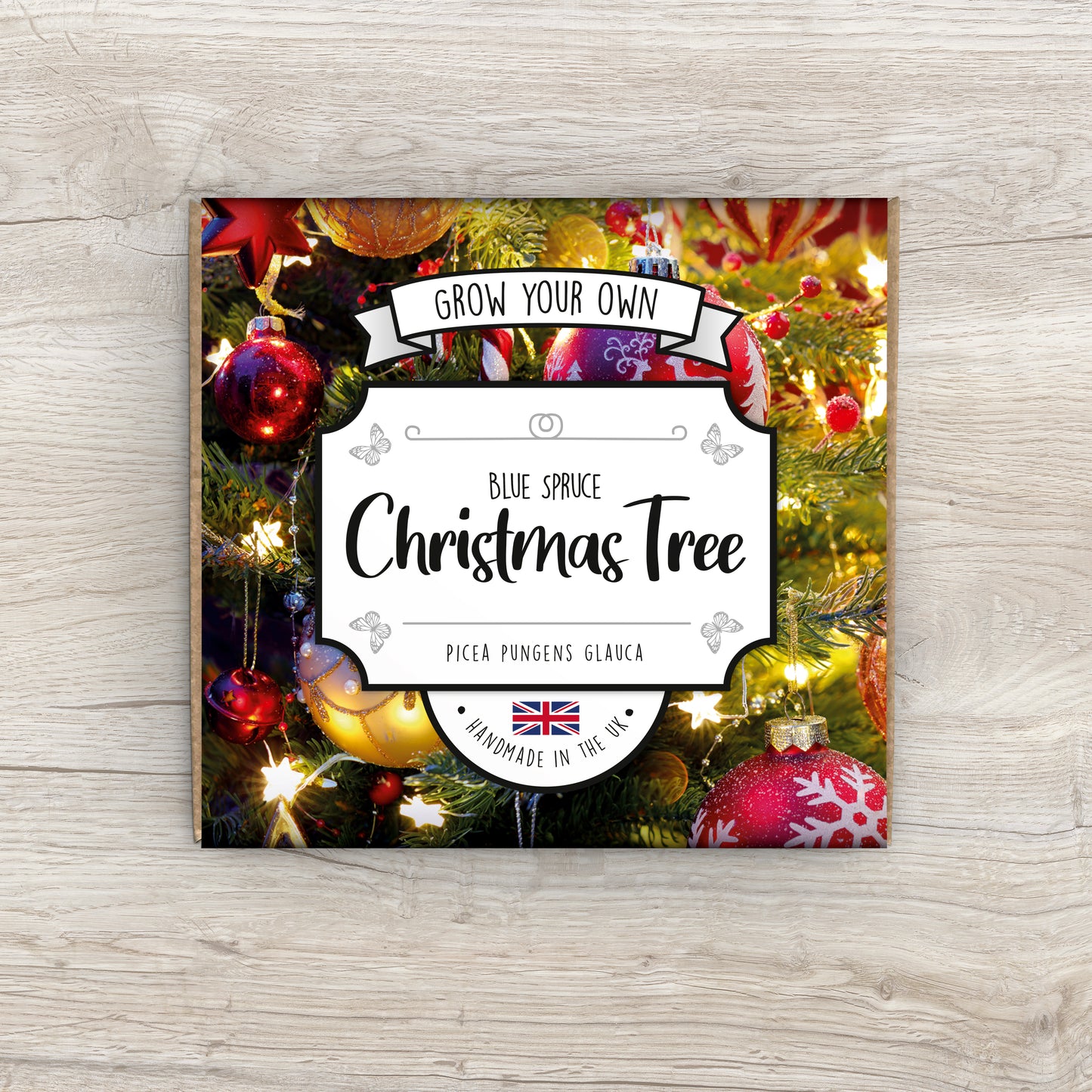 Grow Your Own Christmas Tree