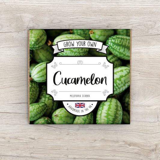 Grow Your Own Cucamelon