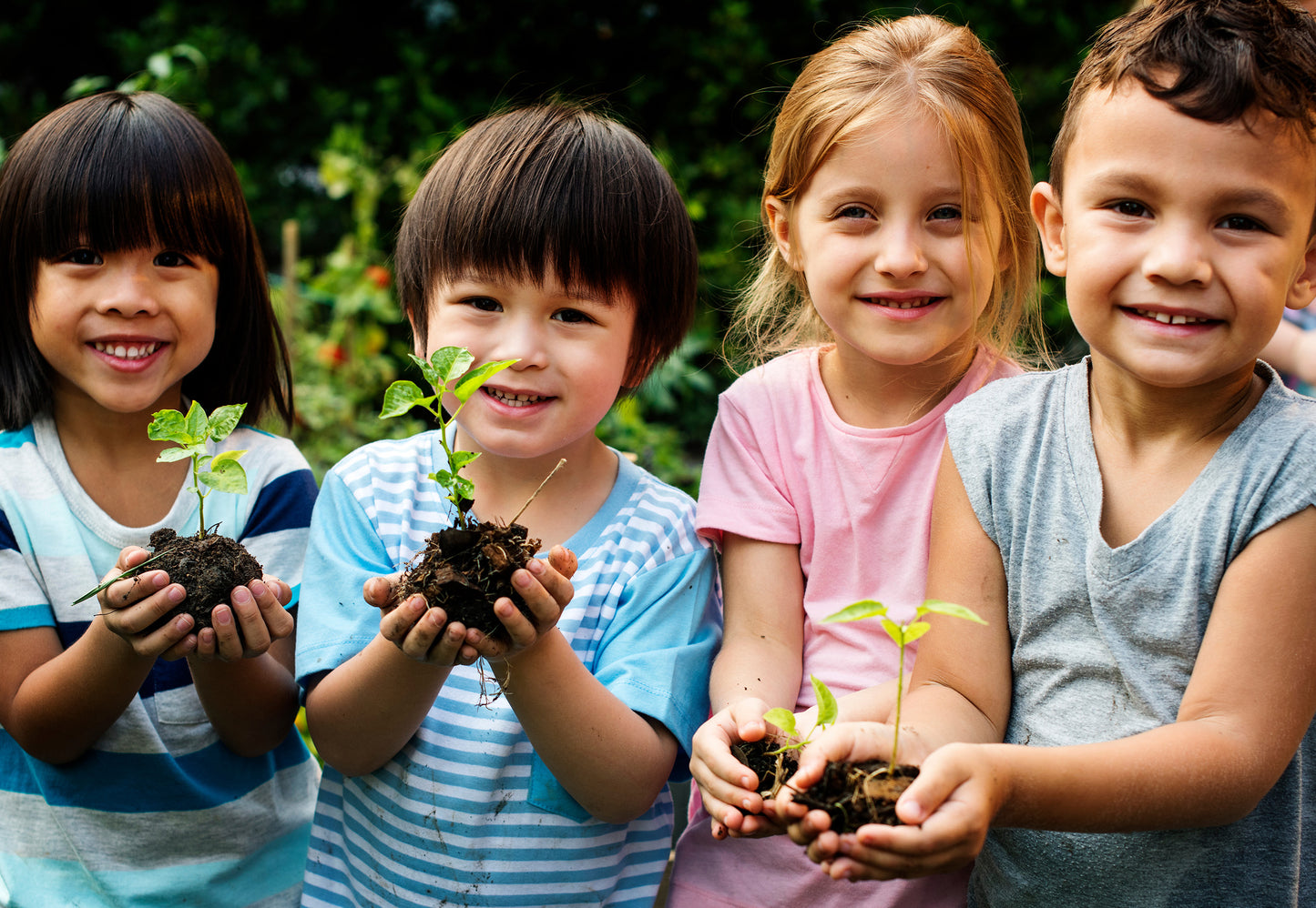 Grow Your Own Cucamelon