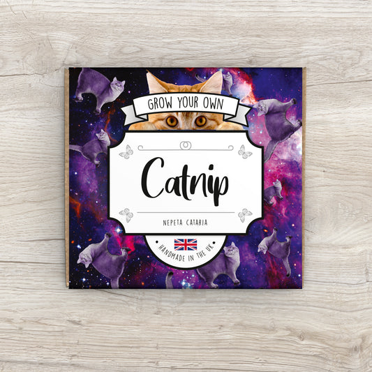 Grow Your Own Catnip