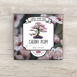 Grow Your Own Cherry Plum Bonsai