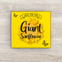Grow Your Own Sunflower Plant Kit.