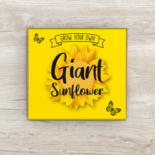 Grow Your Own Sunflower Plant Kit