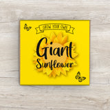 Grow Your Own Sunflower Plant Kit.