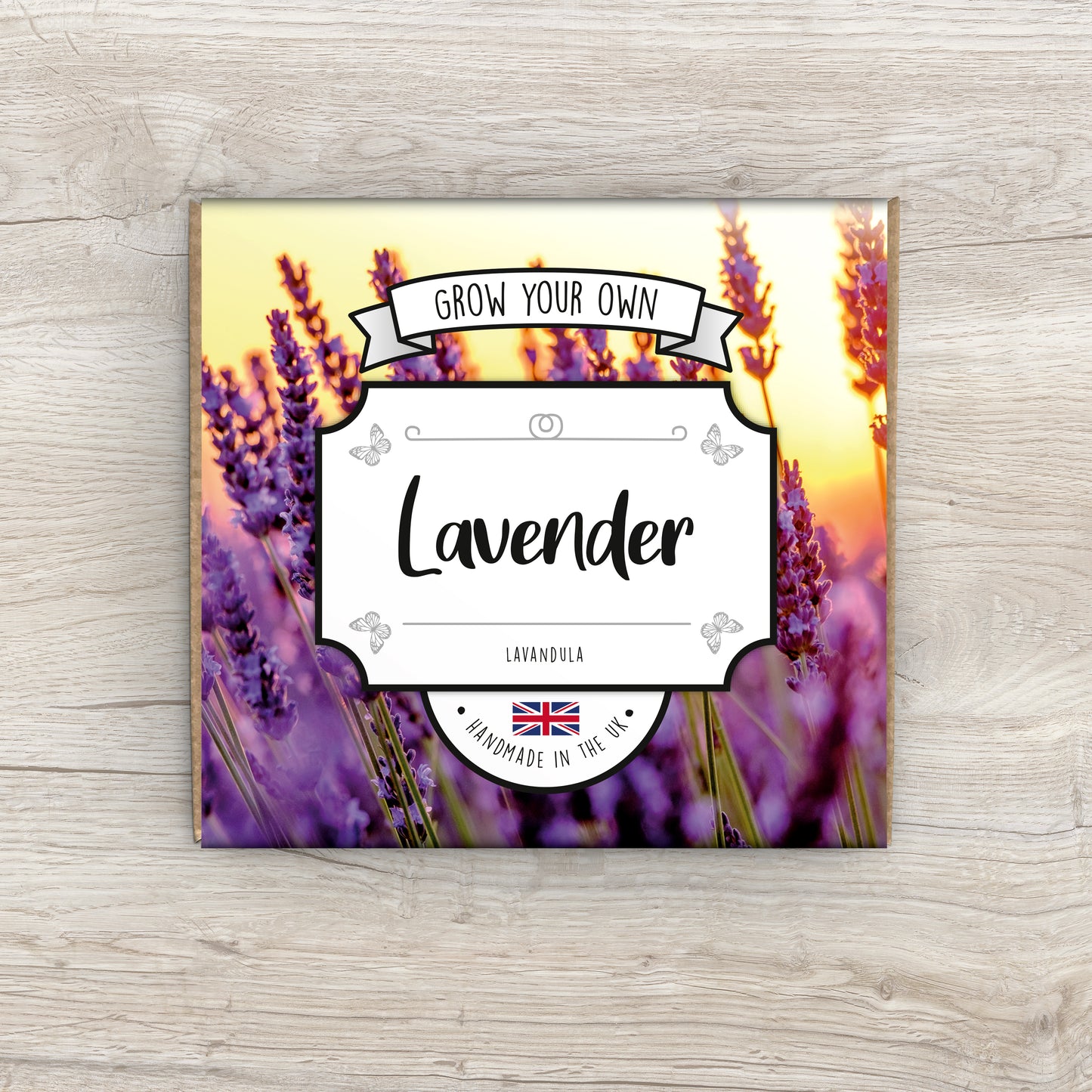 Grow Your Own Lavender