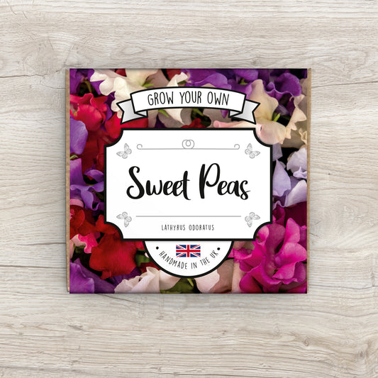 Grow Your Own Sweet Pea Plant Kit