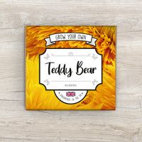 Grow Your Own Teddy Bear Sunflower Kit