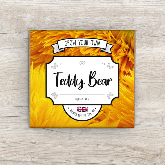Grow Your Own Teddy Bear Sunflower