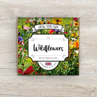Grow Your Own Wildflowers